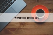 大卫比特币 比特币 大v