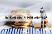 国内区块链初创公司 中国区块链公司龙头